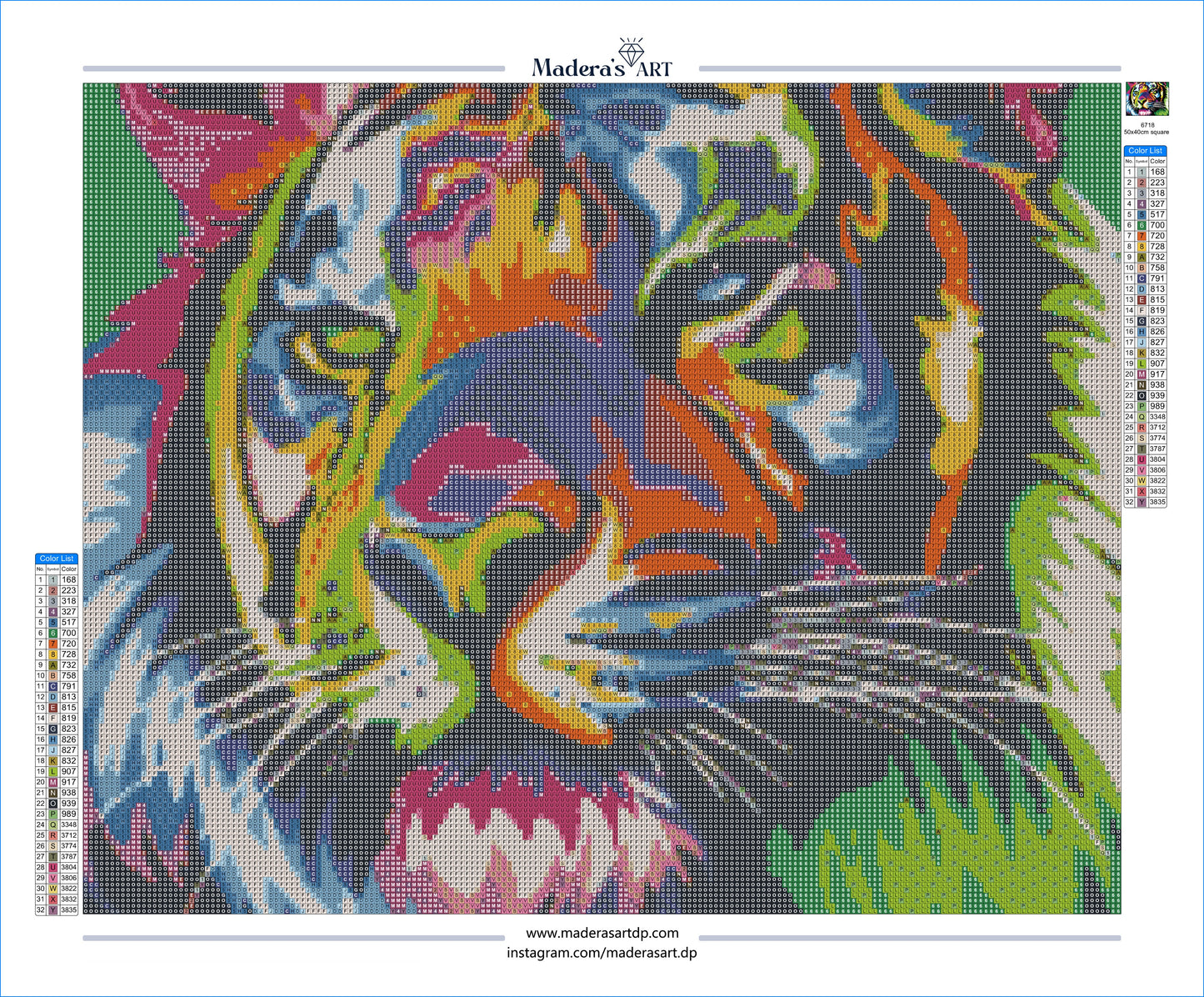 Renkli Aslan 40x50cm