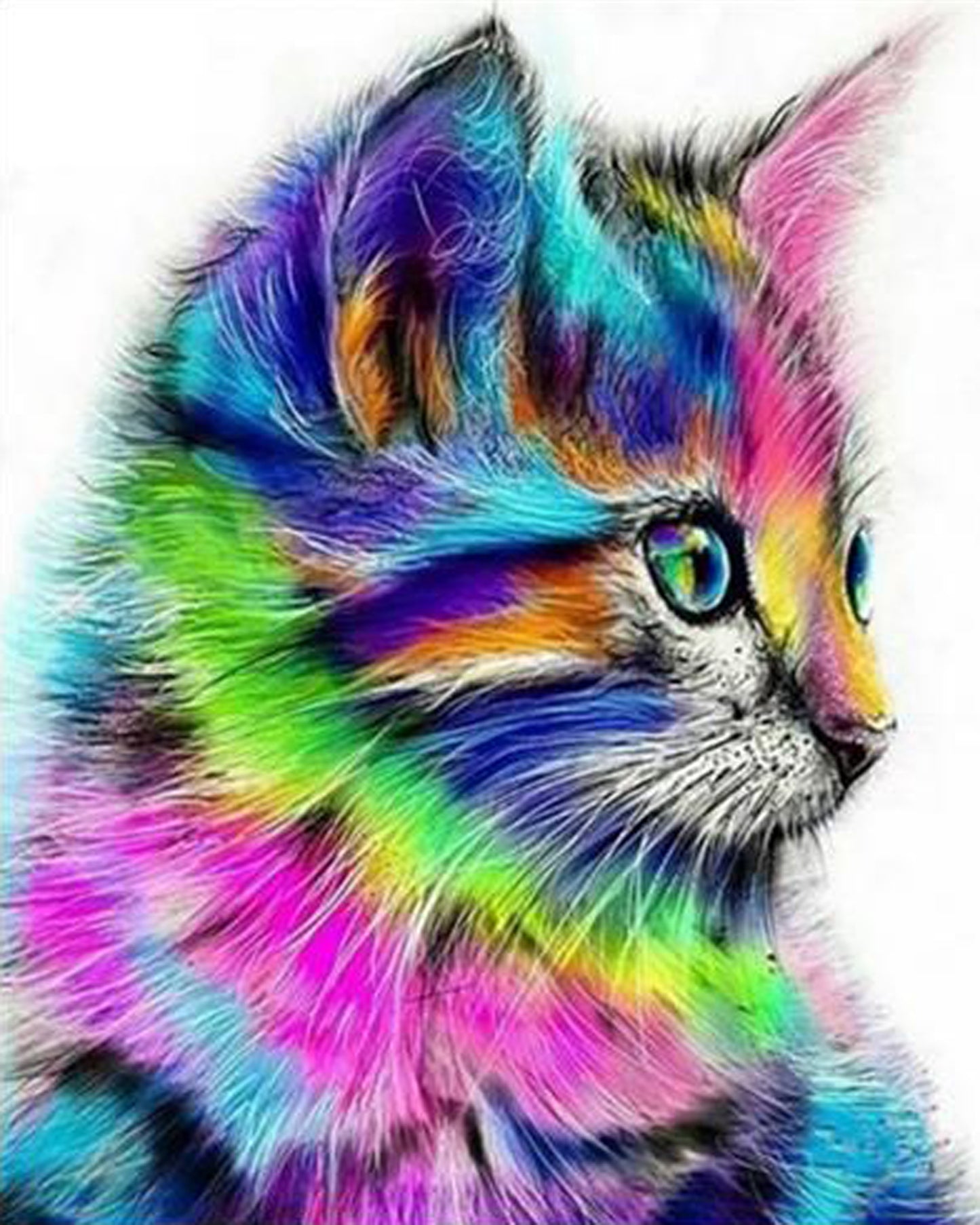 Renkli Kedi 40x50cm