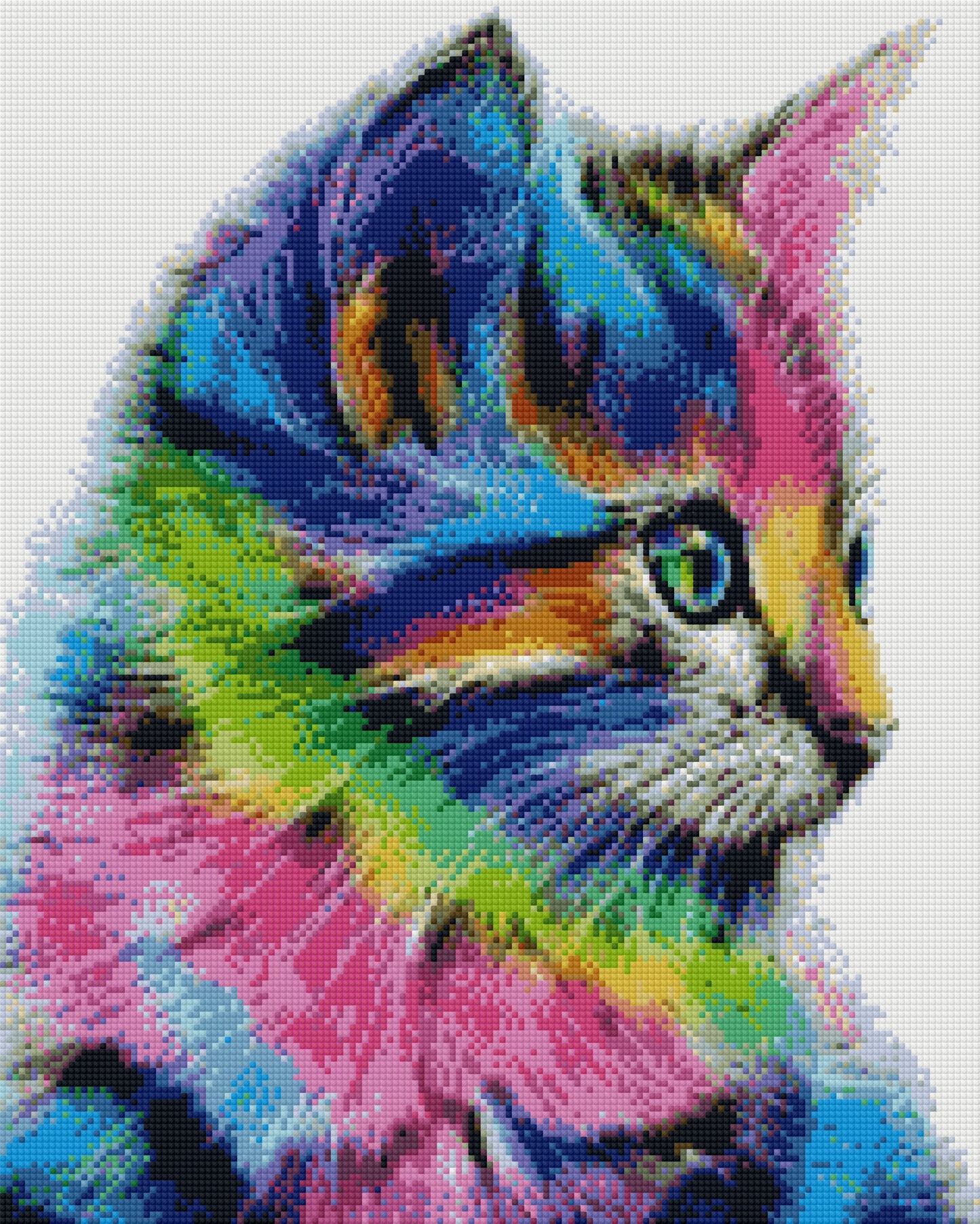 Renkli Kedi 40x50cm