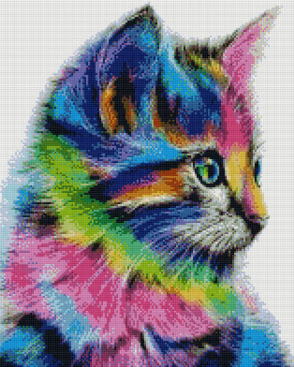 Renkli Kedi 40x50cm