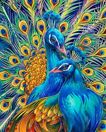 Renkli Tavus Kuşu 40x50cm
