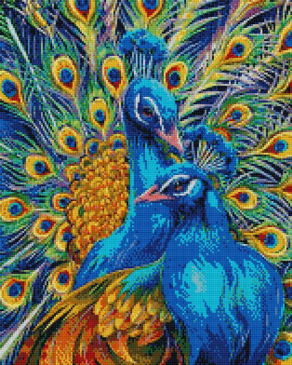 Renkli Tavus Kuşu 40x50cm