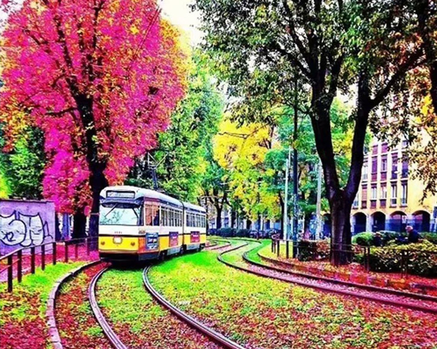 Renkli Tramvay 40x50cm