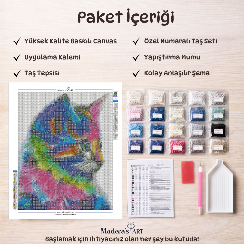 Renkli Kedi 40x50cm