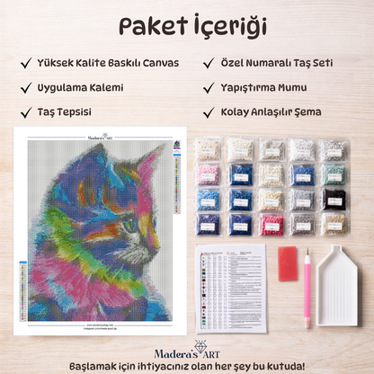Renkli Kedi 40x50cm