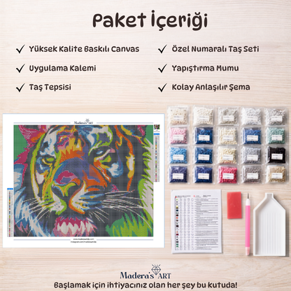 Renkli Aslan 40x50cm
