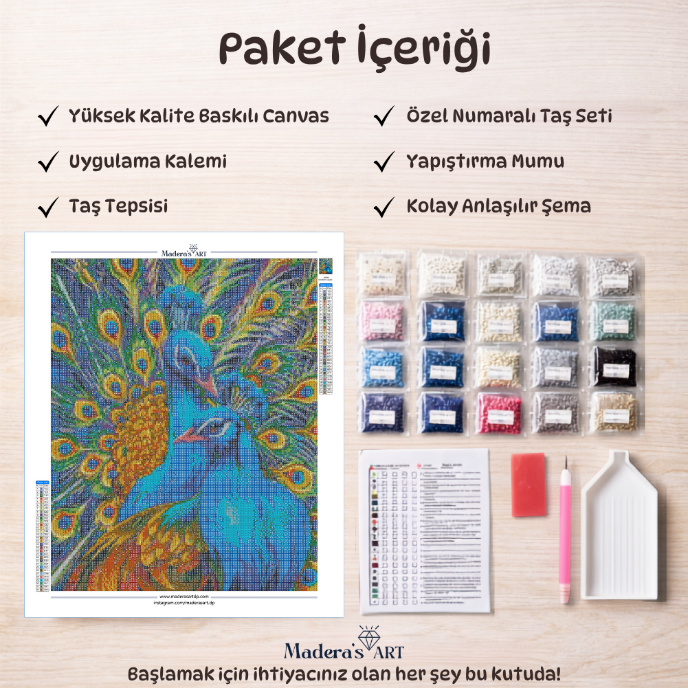 Renkli Tavus Kuşu 40x50cm